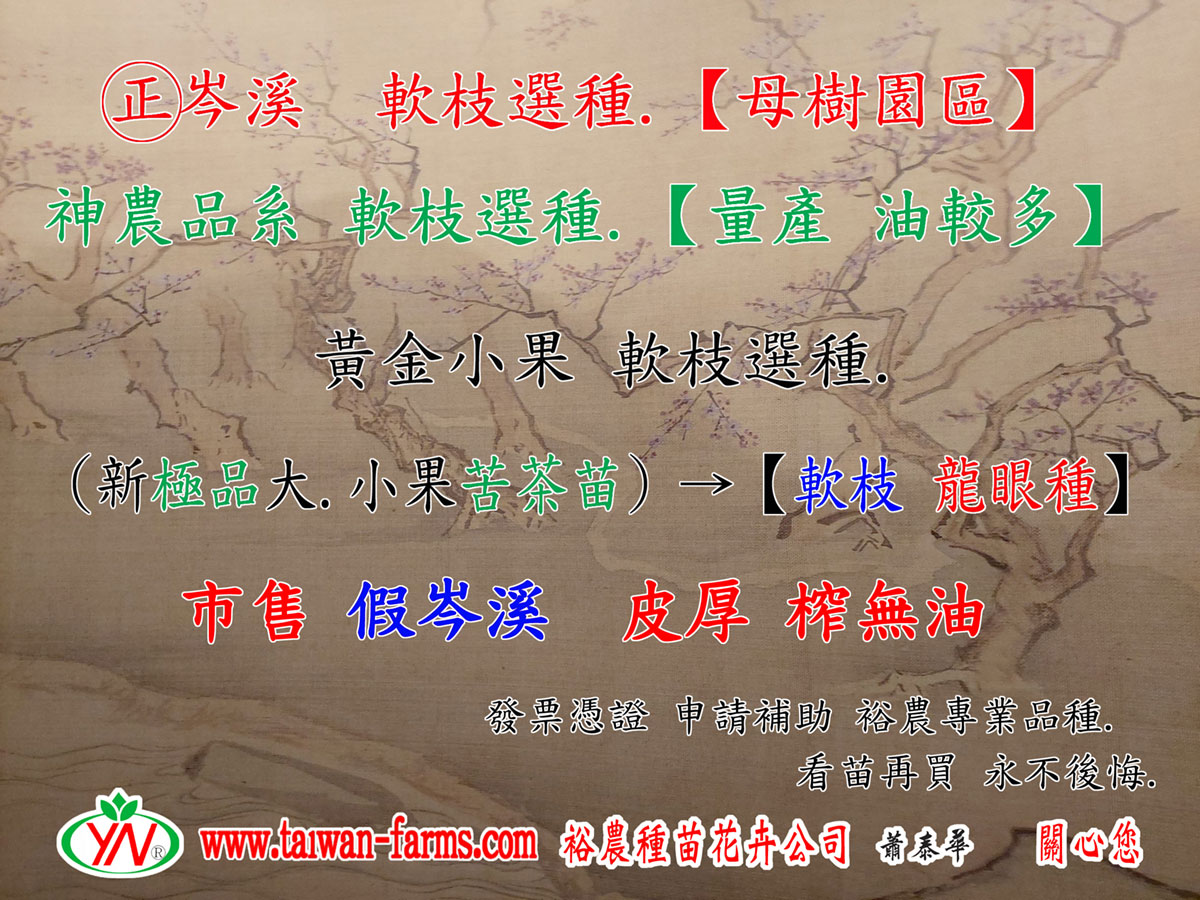 苦茶苗-發票憑證申請補助，裕農專業品種。